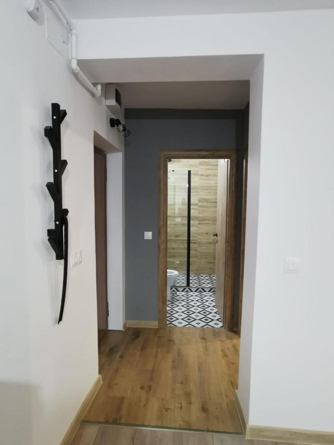 Perfect Stay Apartment Petrosani - B&B
