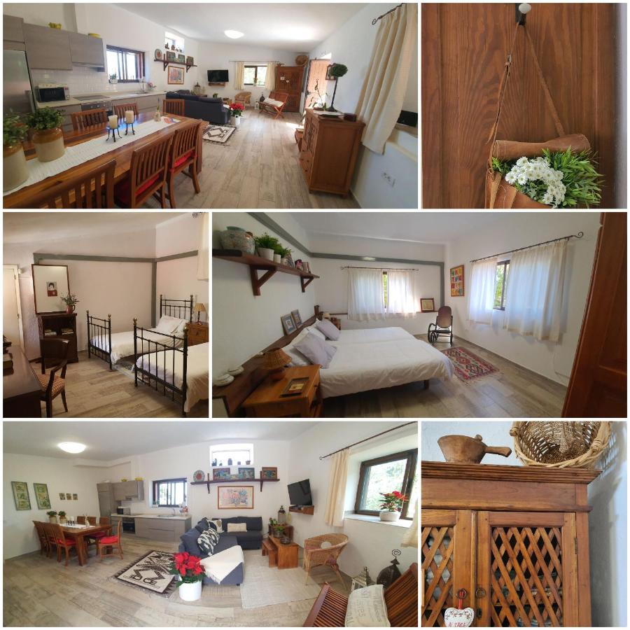 Casa el Porte - Chambres d'hôtes Tegueste