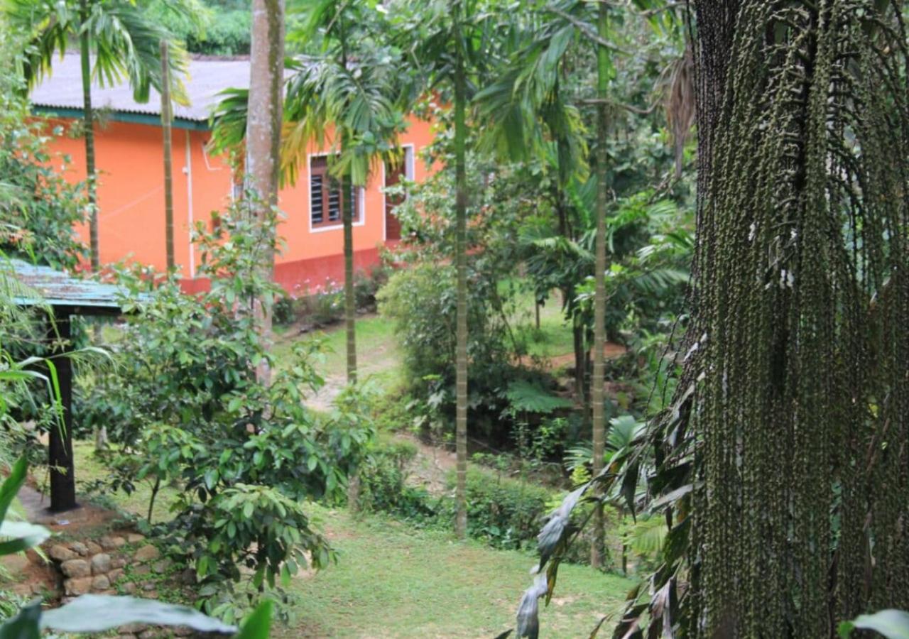 B&B Elakaduwa - Sembuwatta Reach Homestay - Bed and Breakfast Elakaduwa