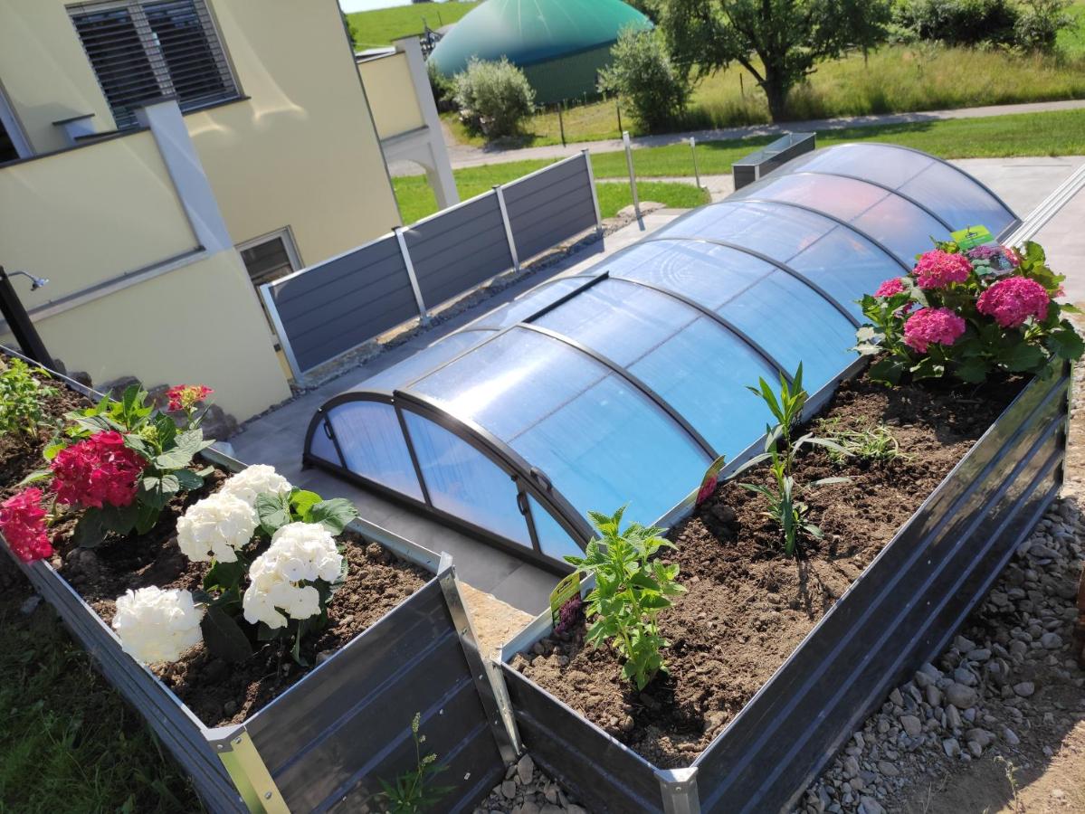 FeWo Obstbäumle mit Pool Matzenweilerhof - Ferienwohnung Neukirch