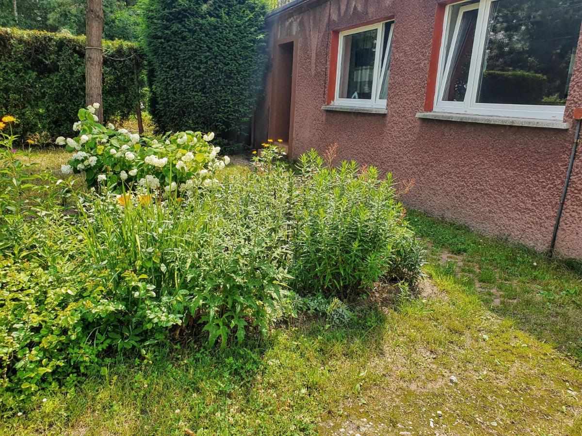 Apartament u Ani - B&B