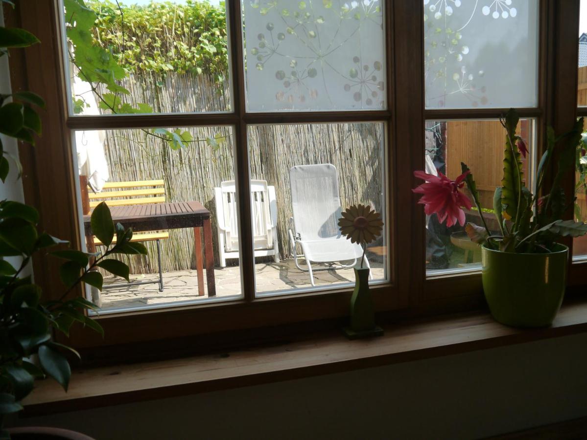 Appartement 1 Chambre avec Terrasse