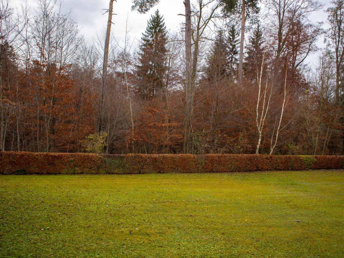 Seewaldblick - Ferienwohnung am Bodensee - B&B