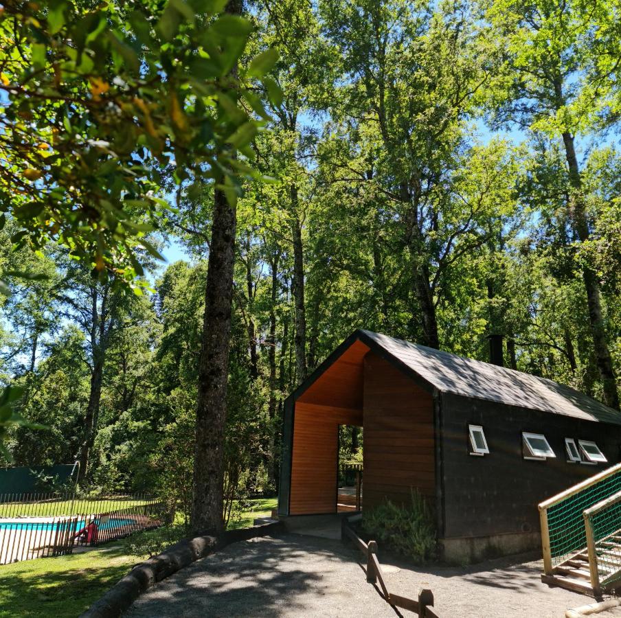 Departamento en la naturaleza de Pucón - B&B Pucón