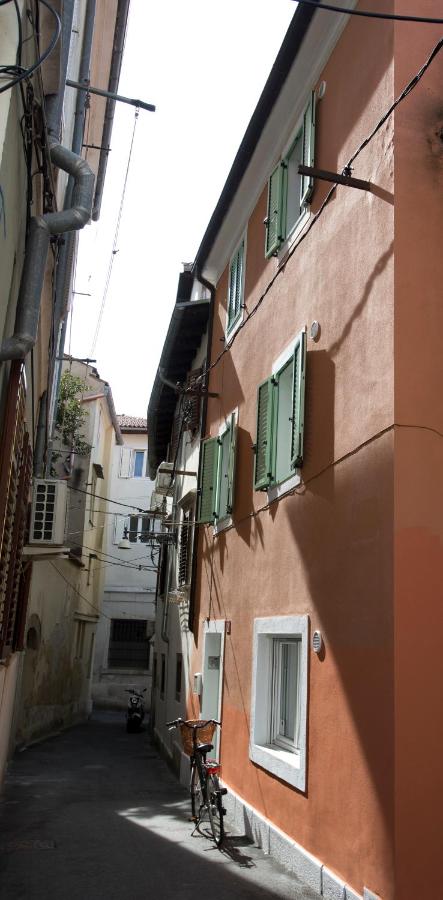 Sobe pri Anici - B&B Capodistria