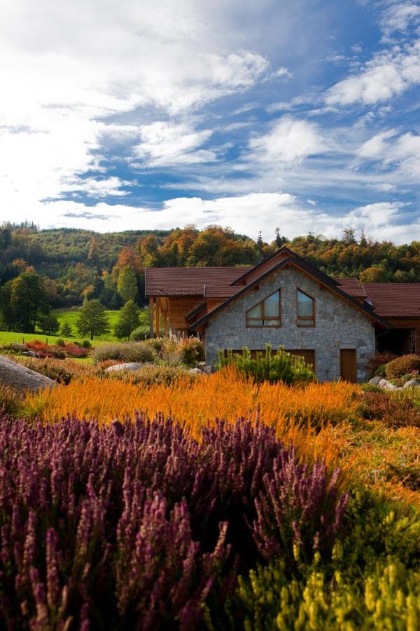 Chambre d'hôtes La Forestière - B&B