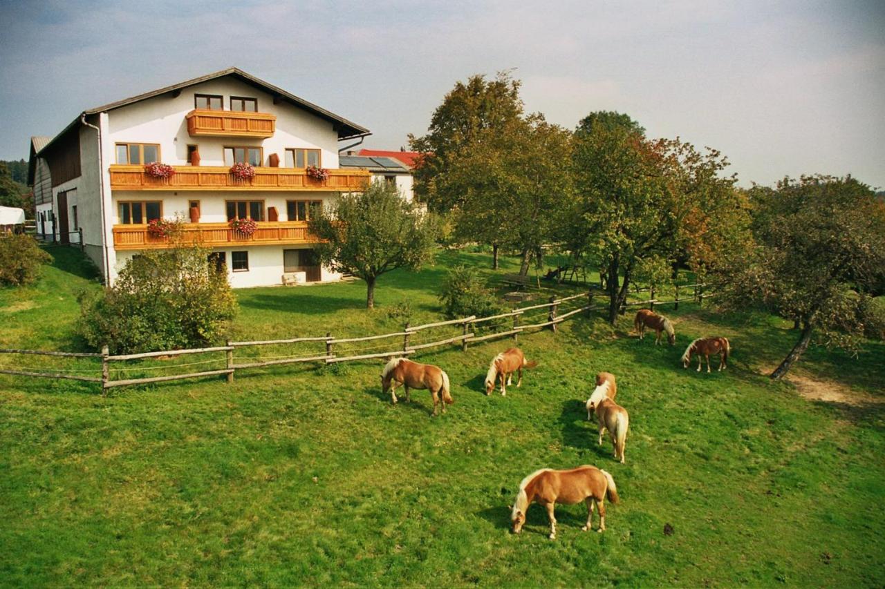 B&B Pressbaum - Biobauernhof Wolf-Hof - Bed and Breakfast Pressbaum