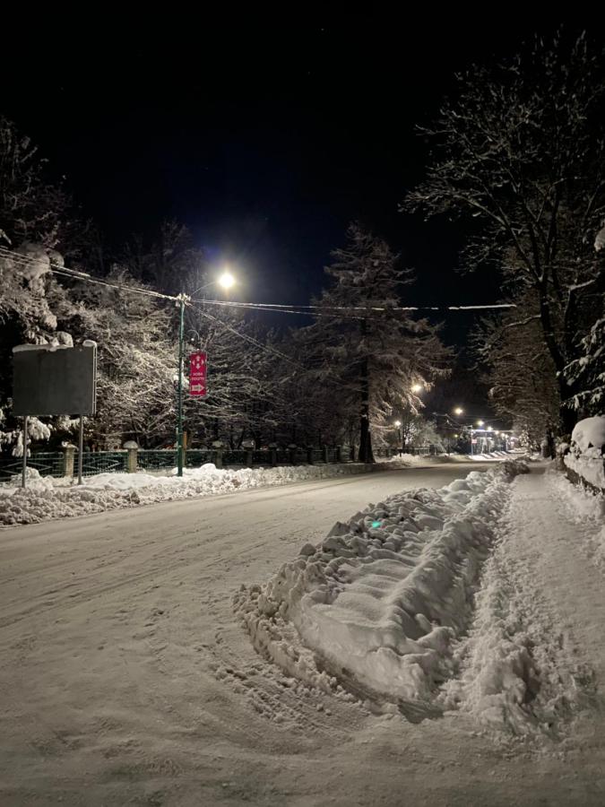 ZWIN Apartment 3 - Bed and Breakfast Skole