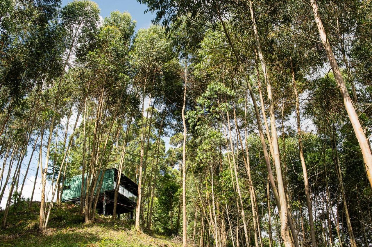 Casa Container FIGO em meio a natureza na Serra Gaúcha - B&B Flores da Cunha