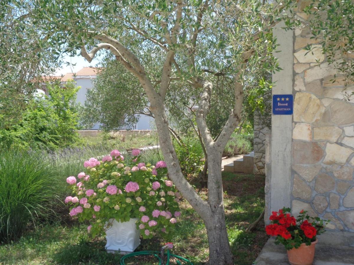 Apartments Milena - B&B Pašman