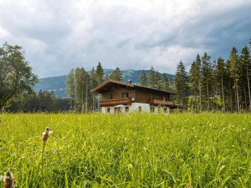 Chalet Freiblick Kleinhaid, Hollersbach - Bed and Breakfast