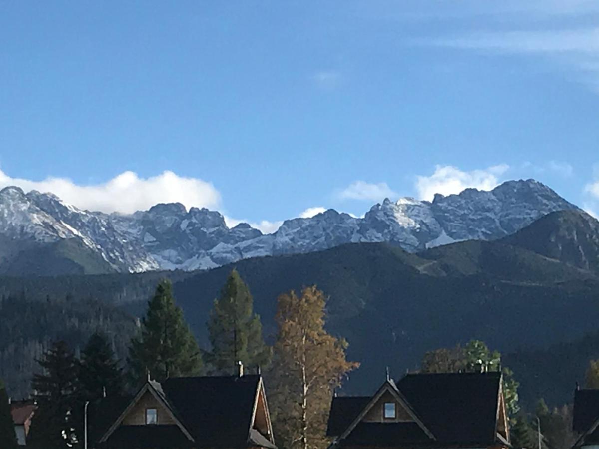 A1Willa skoczek Apartament południowy 2 pokojowy z plus Aneks kuchenny Promocja pobyt na termach dla 2 osób gratis - Ferienwohnung Zakopane