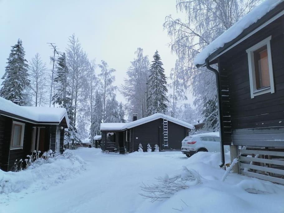 High Rise Cottage - B&B Muurame