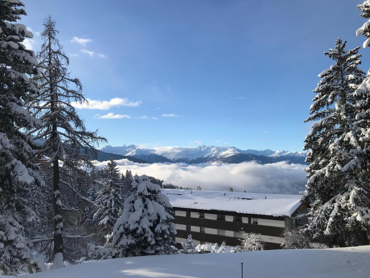 Renovated Apartment 5 min to Crans Montana Center - B&B Crans-Montana