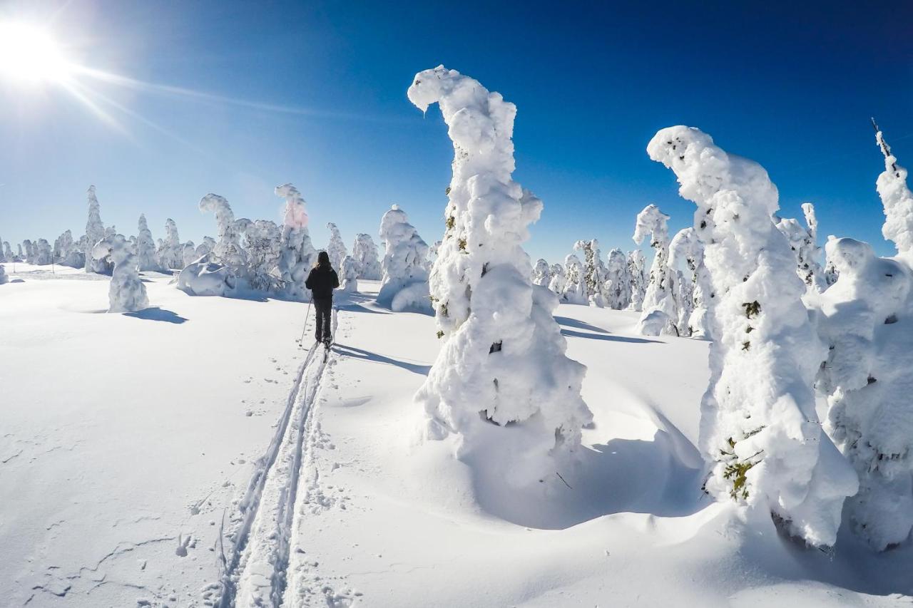 Apartamento de 1 dormitorio