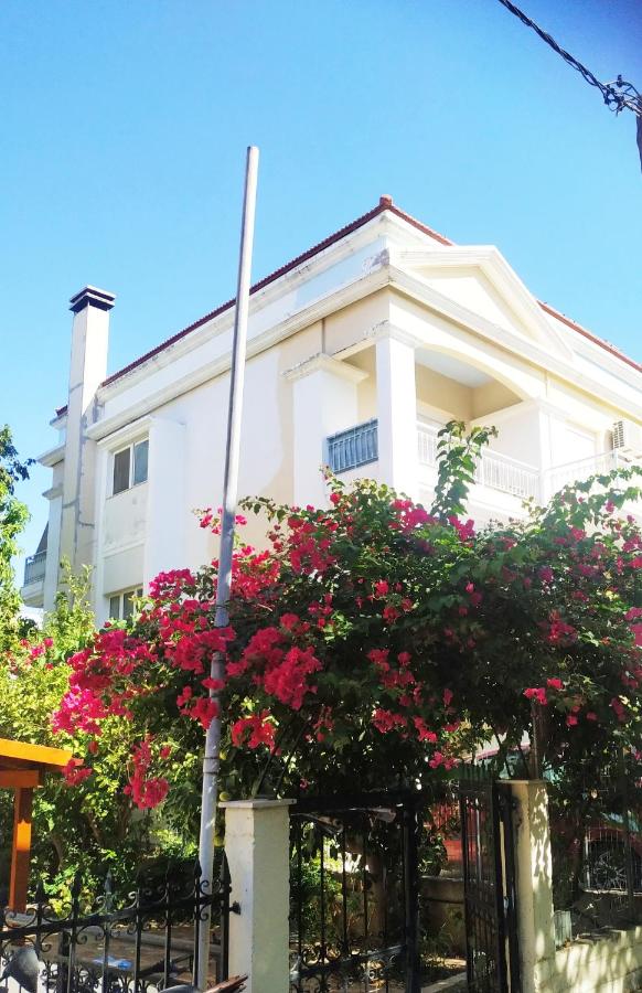 Holiday Nest & parking - B&B