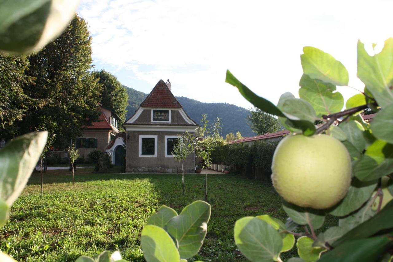 B&B Dürnstein - Bioweingut Schmidl Rosenstöckel - Bed and Breakfast Dürnstein