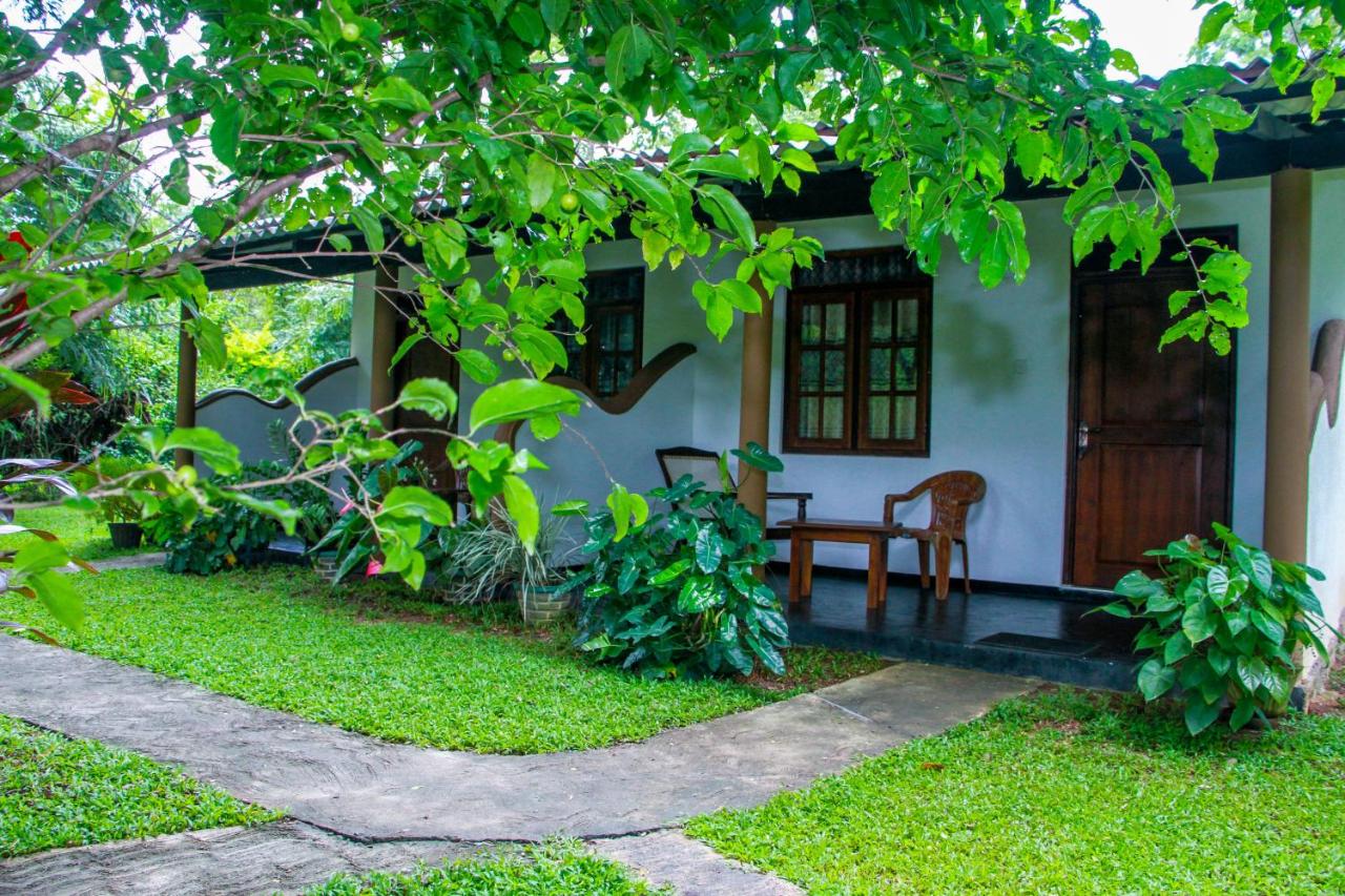 Nimsara Lodge Sigiriya - B&B