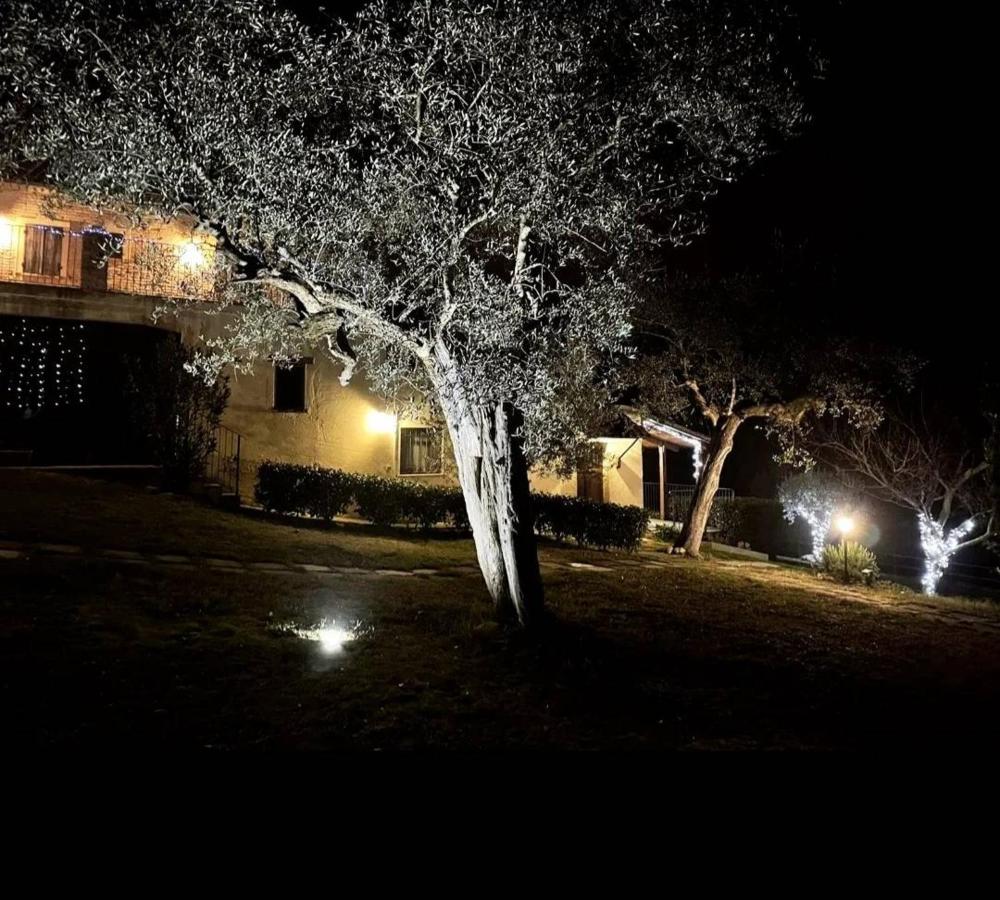 Tenuta Sant'Apollinare - B&B