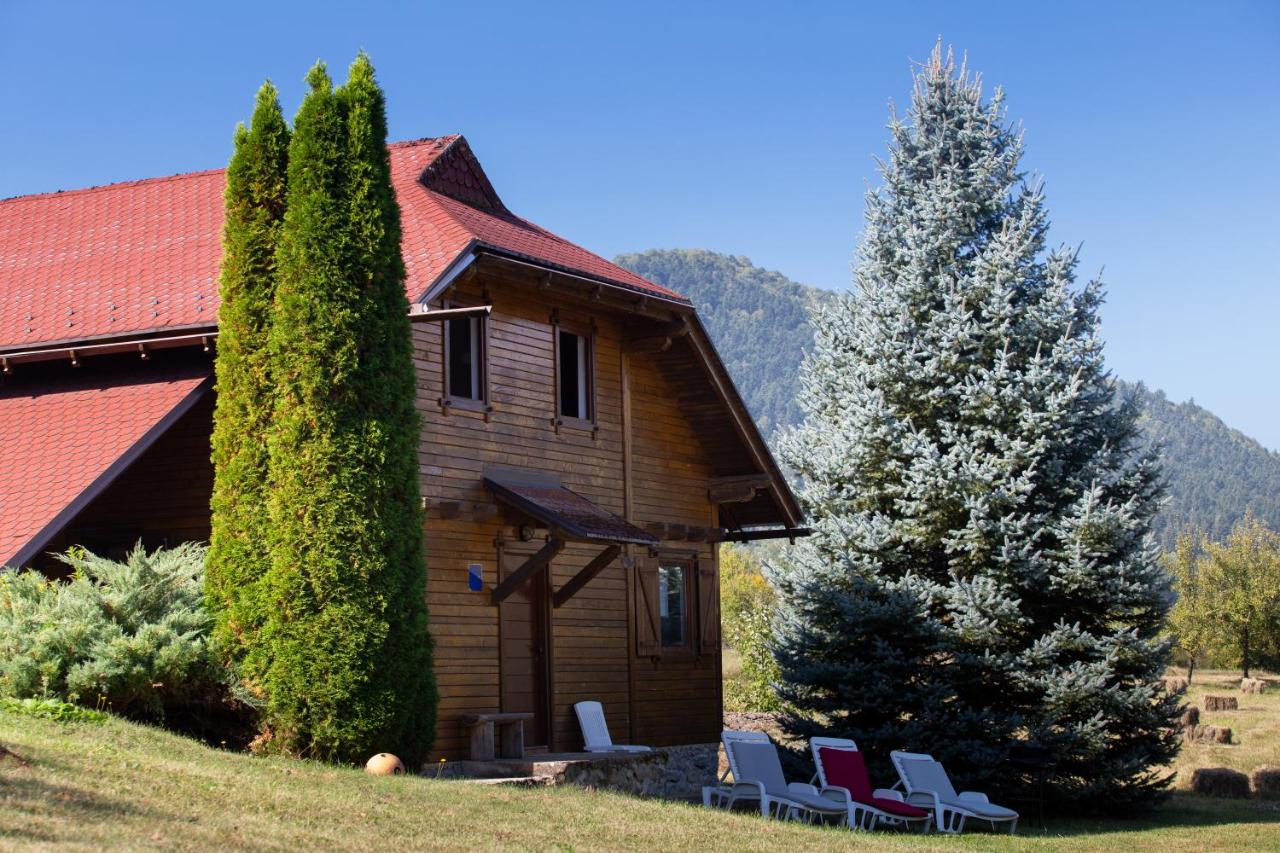 B&B Otočac - WoodenHouse with two Apartments - Bed and Breakfast Otočac