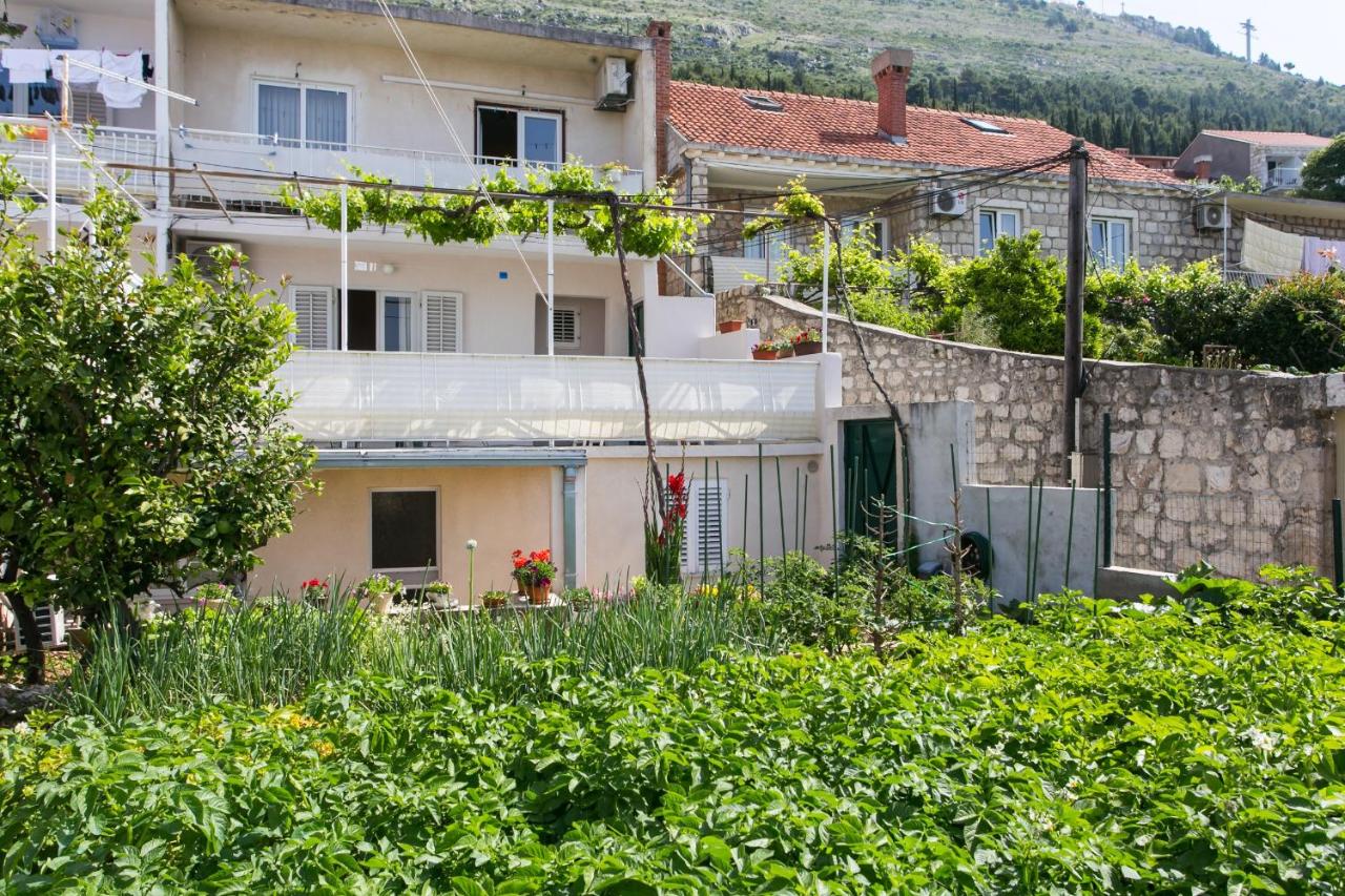 Apartments Nico - B&B Dubrovnik