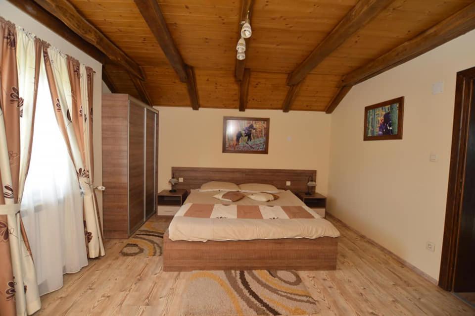 B&B Bjelovar - Rooms & Apartment Vinia - Bed and Breakfast Bjelovar