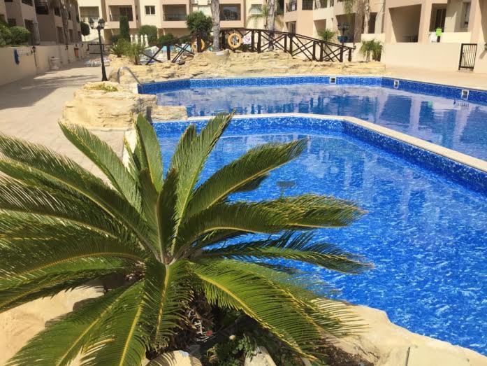 B&B Paphos - Lovely 2 bedroom apartment A206, 800m to the sea - Bed and Breakfast Paphos