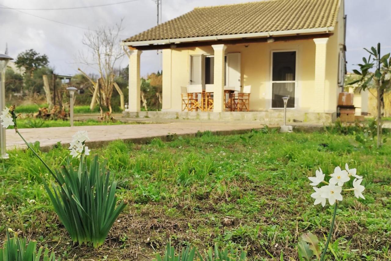 The Hidden Well Holiday Home - Bed and Breakfast Grevedianá