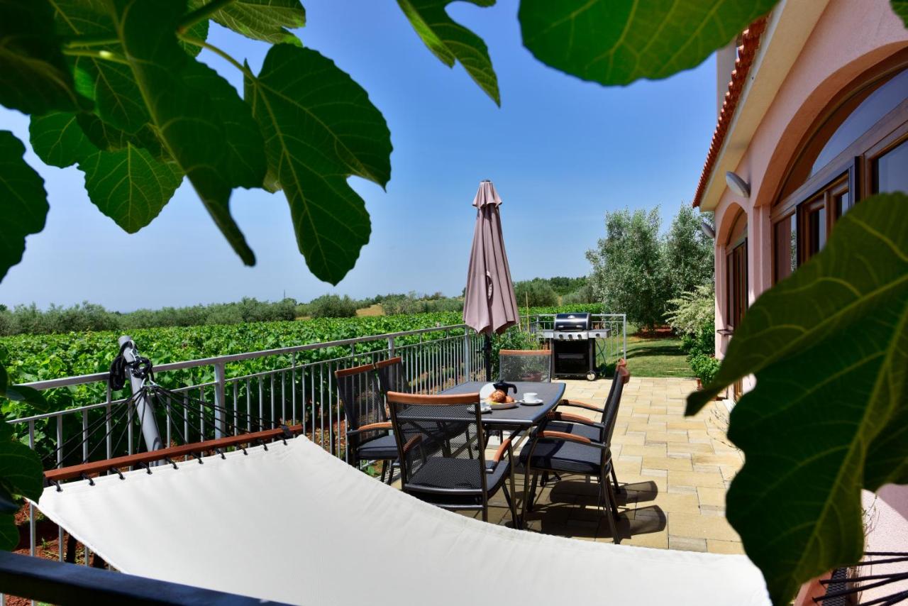 B&B Tar - Apartment surrounded by a Vineyard - Bed and Breakfast Tar