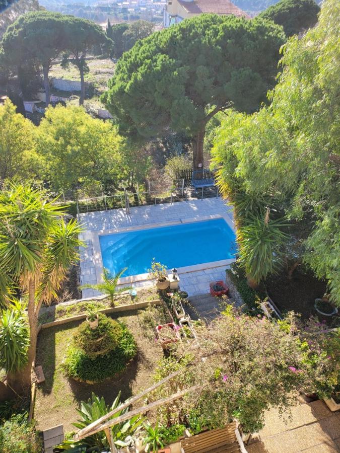 APT 65 M2 DANS VILLA AVEC PISCINE BANYULS SUR MER - Chambres d’hôtes