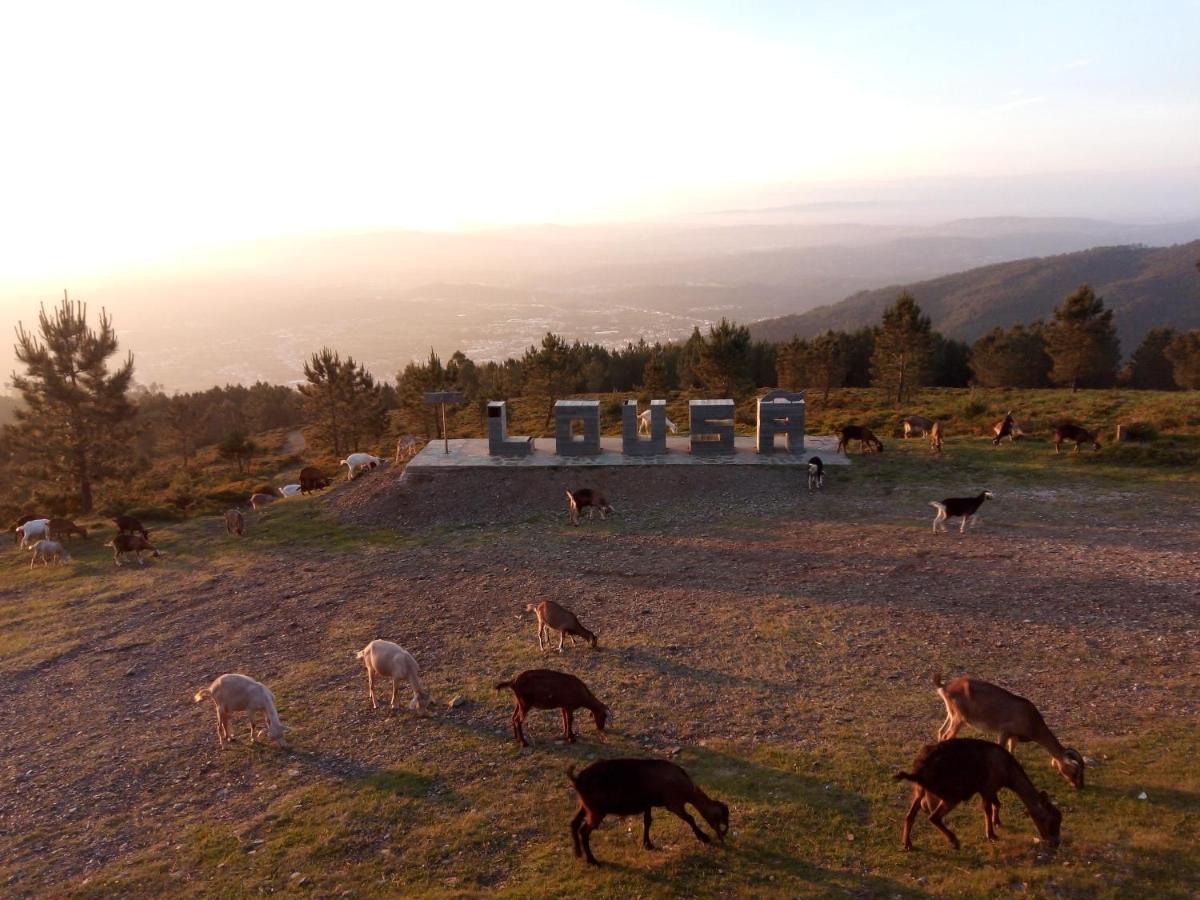 Casa do Pastor - B&B Lousã