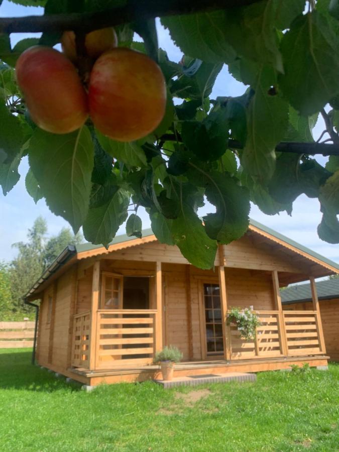 Pod Dziką Jabłonią - Ferienwohnung