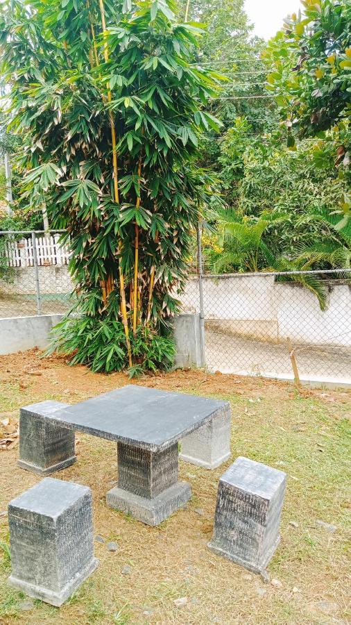 Sunhill Rest Hiriketiya - B&B Dikwella