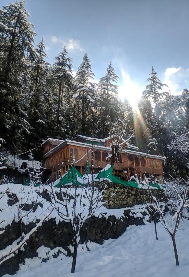 Rustic wood house - A village home stay in Jibhi Valley - Bed and Breakfast