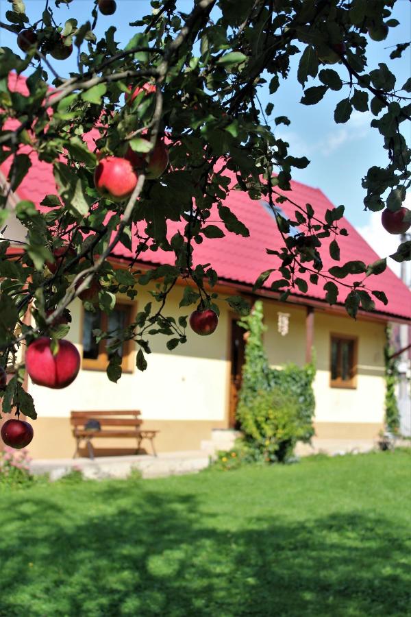 Chalúpka u Fulov - B&B Bziny