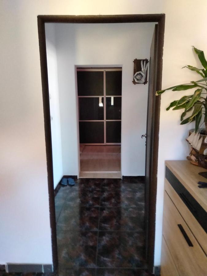 Apartament cu terasa la casa Valentin - B&B