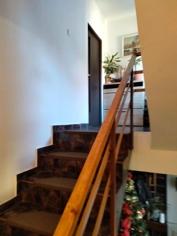 Apartament cu terasa la casa Valentin - B&B