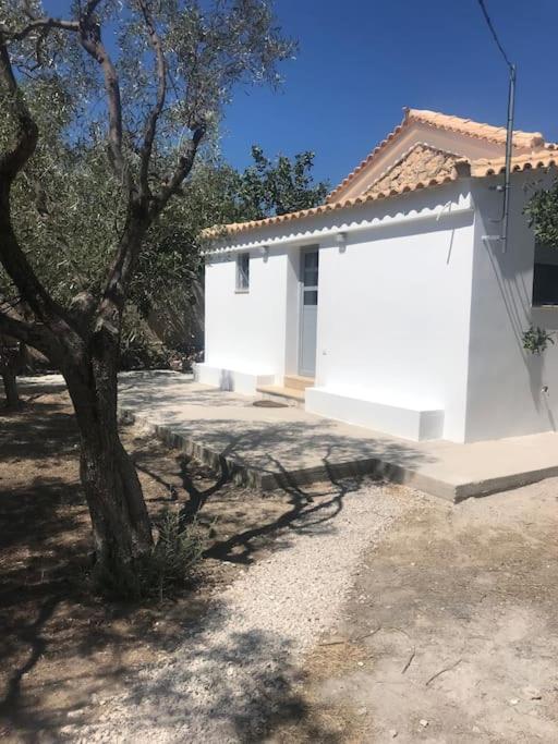 Πέτρινη κατοικία στην Αίγινα - Stone House in Aigina - Chambres d'hôtes Arakhnaíon
