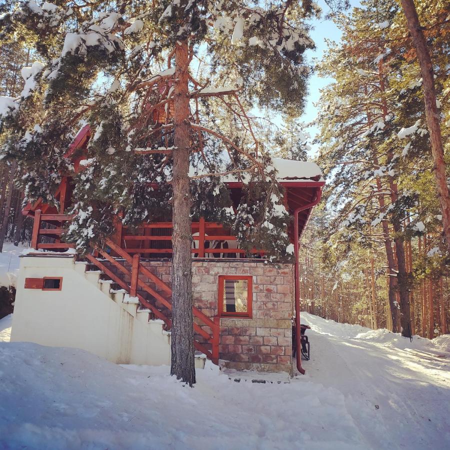 Vikendica Dve sestre Zlatibor - B&B Zlatibor