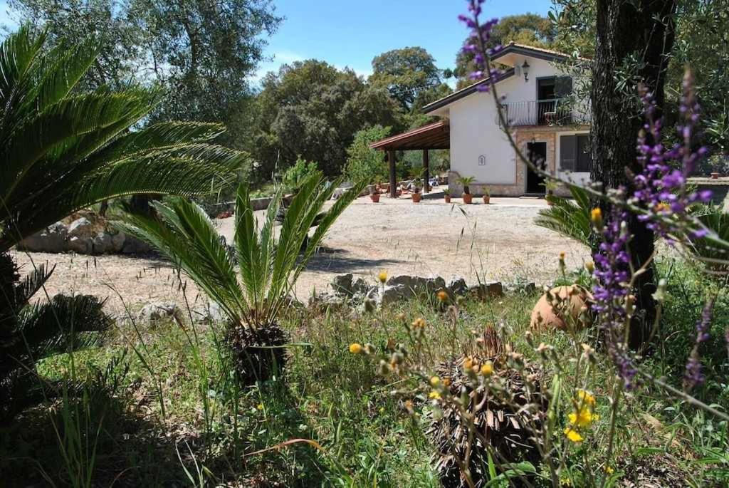 VILLA CYCAS relax tra mare e natura - Chambres d’hôtes Sperlonga