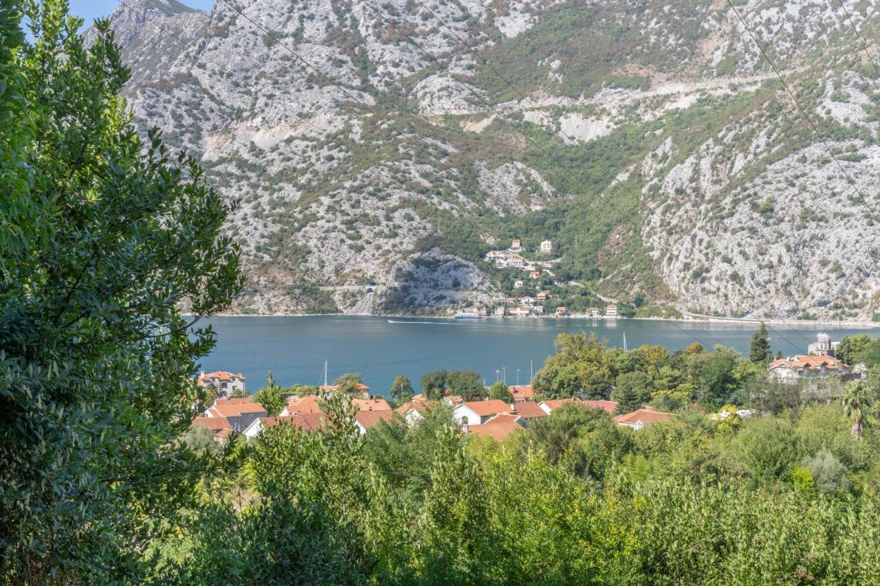 Aneta Apartments - B&B Risano
