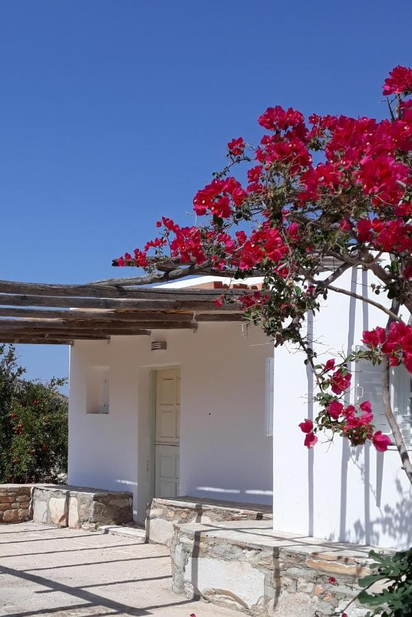 B&B Agia Theodoti - The Artists House - Traditional Home - Bed and Breakfast Agia Theodoti