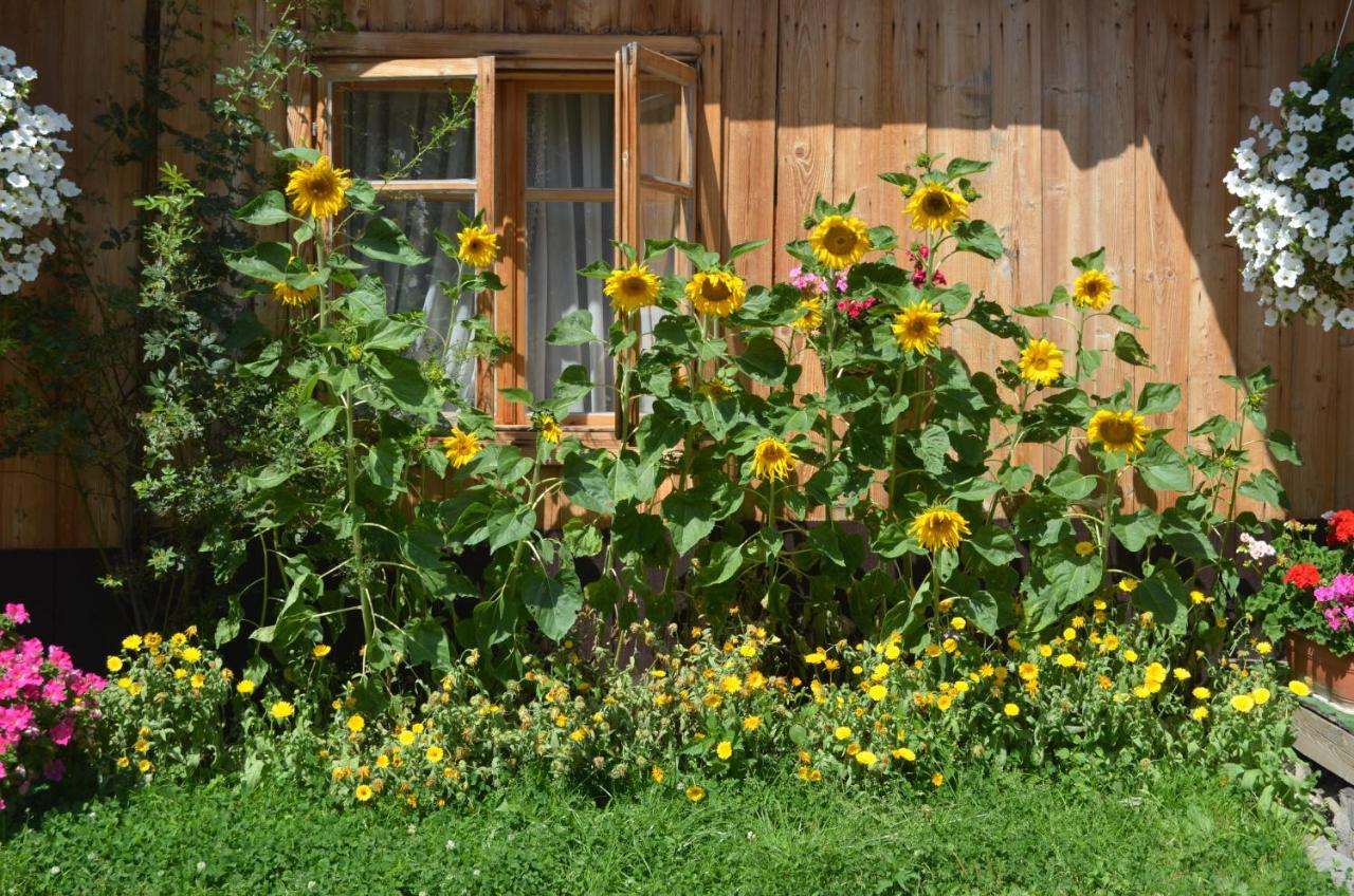 Chowańcówka - B&B Poronin