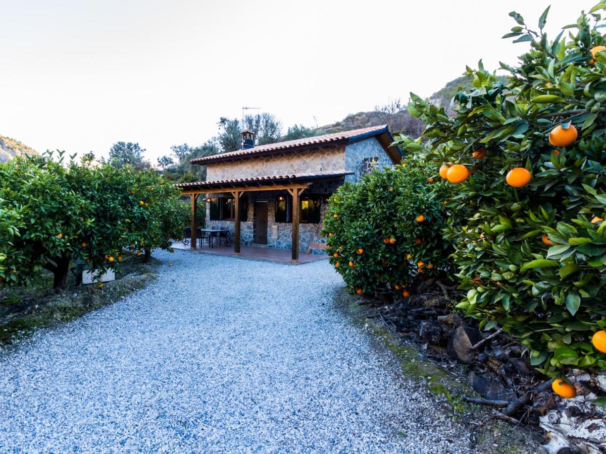 Cortijo Fuente del Lino - Ferienwohnung