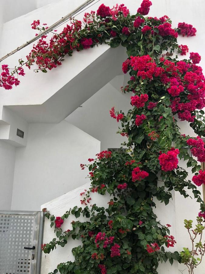 Apartamento La Ola - B&B