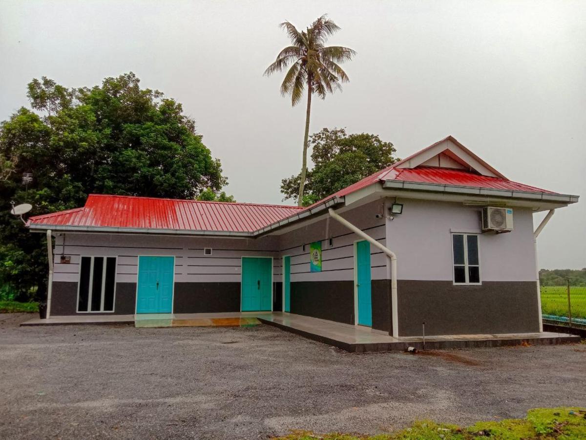 D'Merbok Homestay - B&B Kampong Merbok