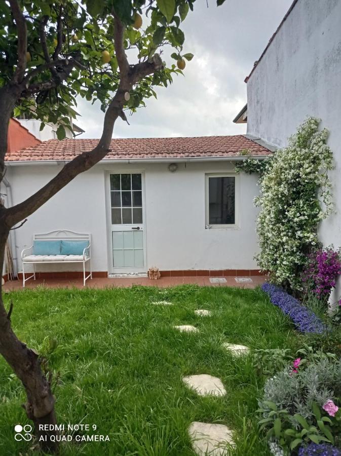 Citrus Hideaway - Your house in Viareggio - Chambres d’hôtes Viareggio