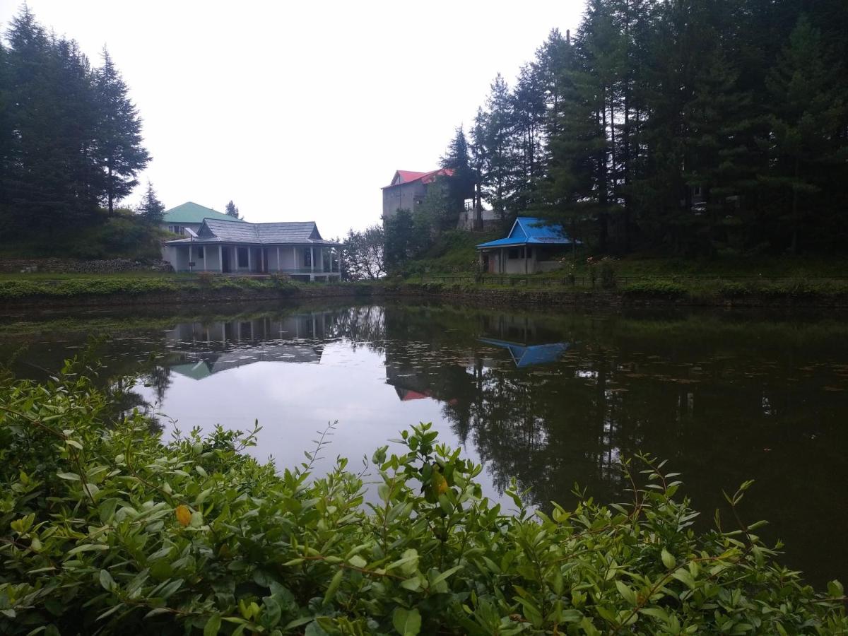 Pine Wood - B&B Kotgarh