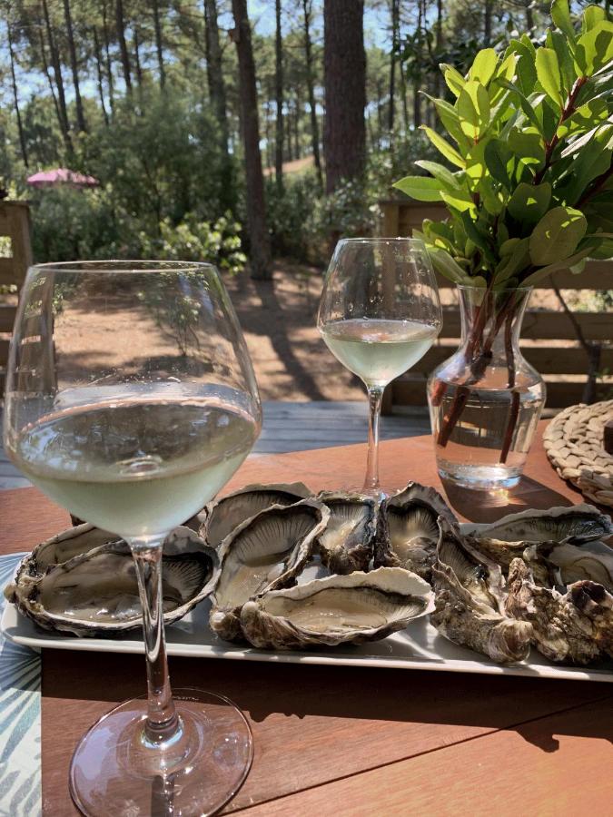 Chalet Mavalear naturiste La Jenny - B&B Le Porge