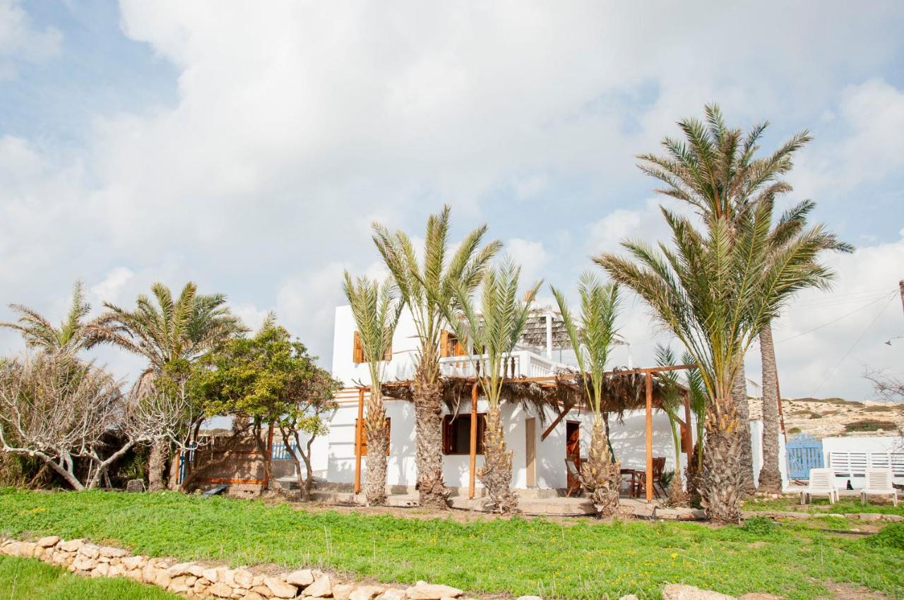 Palmhouses - Chambres d’hôtes